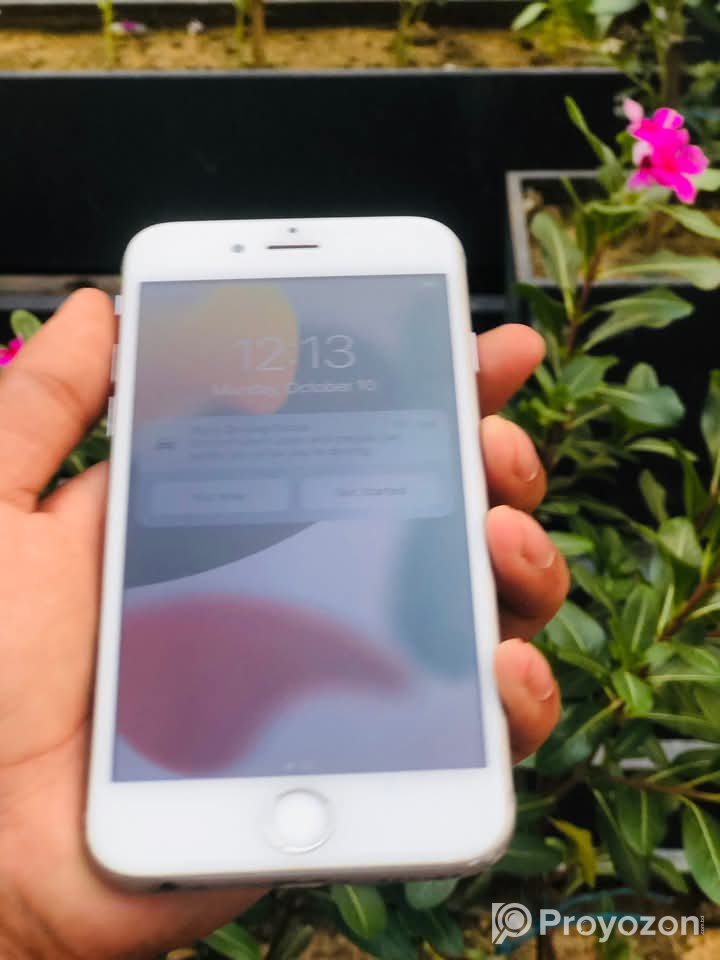 Iphone 6s128GB Battery 100% Change