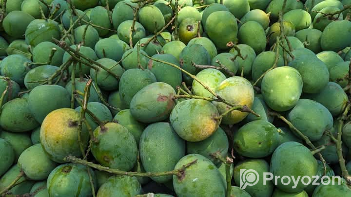 লিচু এবং চাকের মধু নিতে চাচ্ছেন?