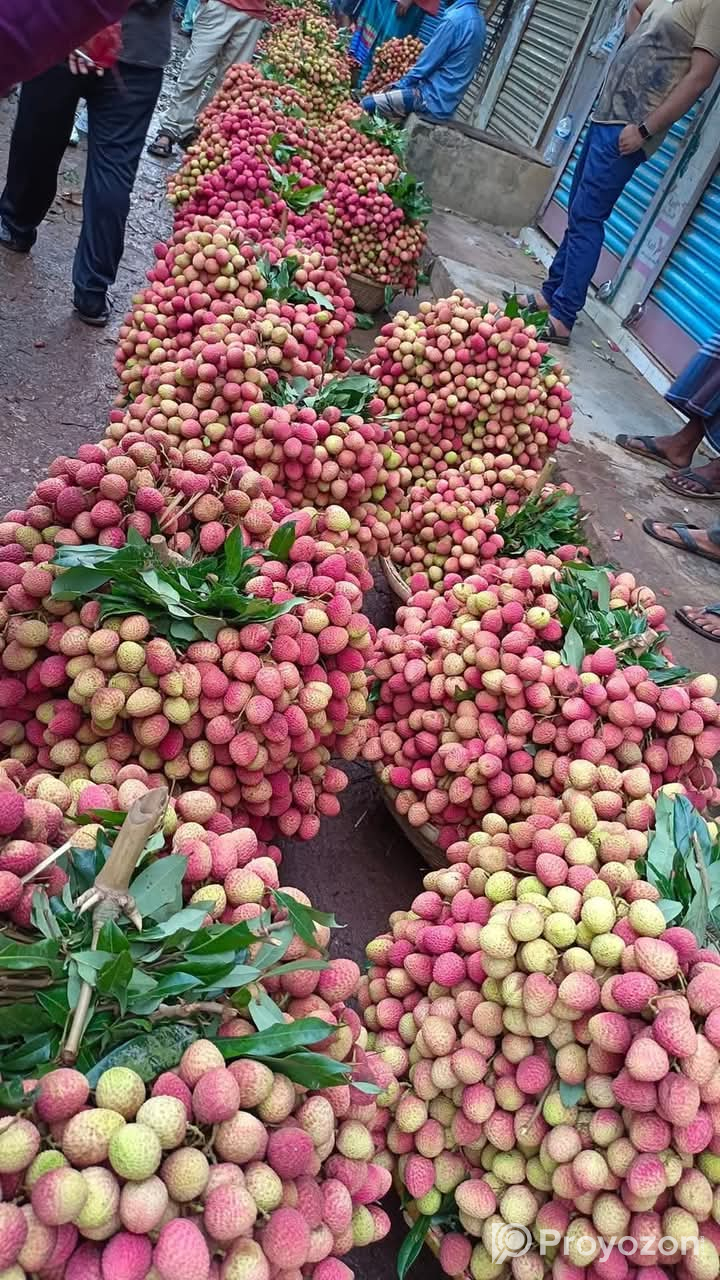 লিচু এবং চাকের মধু নিতে চাচ্ছেন?