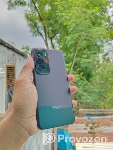 রেনো ১২ প্রো 12/256 GB