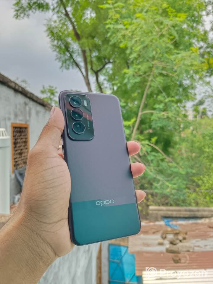 রেনো ১২ প্রো 12/256 GB