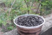 টাব কেক, টাব কেক গুলো পেয়ে যাবেন