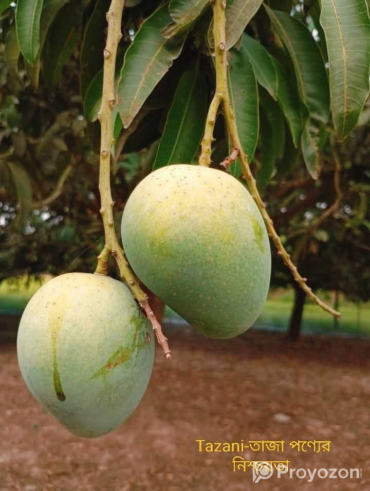বাগান ফ্রেশ গোপাল ভোগ আম