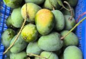 বাগান ফ্রেশ গোপাল ভোগ আম