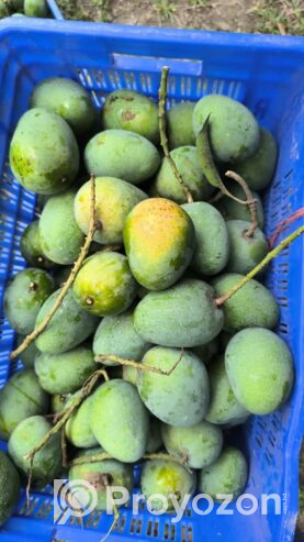 বাগান ফ্রেশ গোপাল ভোগ আম