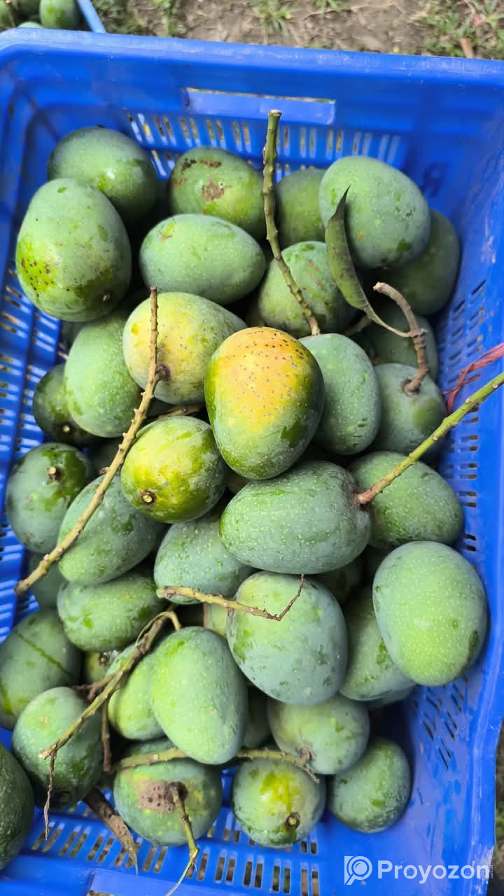 বাগান ফ্রেশ গোপাল ভোগ আম