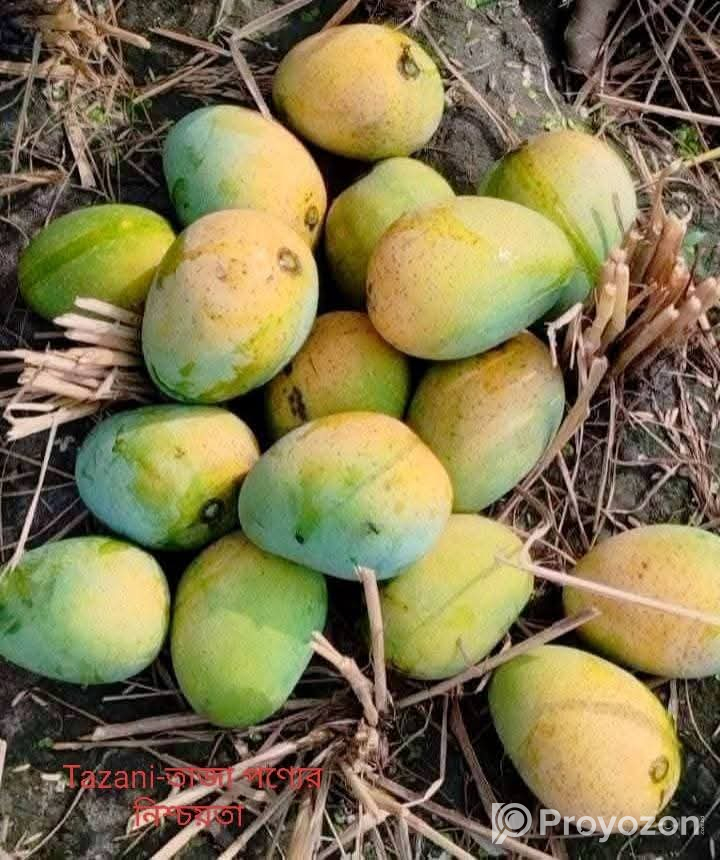 বাগান ফ্রেশ গোপাল ভোগ আম