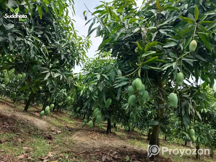 ফরমালিন বা কার্বাইড দেওয়া আম