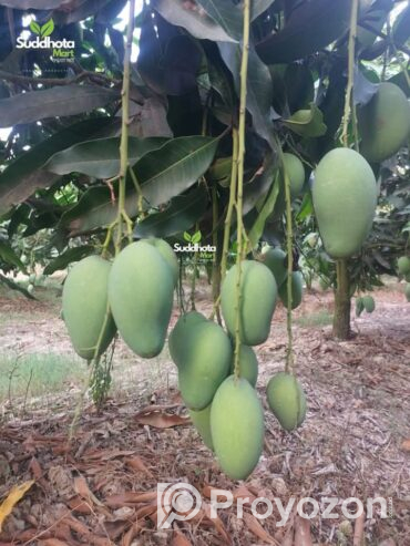 ফরমালিন বা কার্বাইড দেওয়া আম