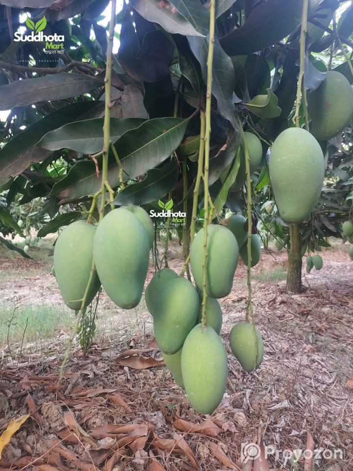 ফরমালিন বা কার্বাইড দেওয়া আম