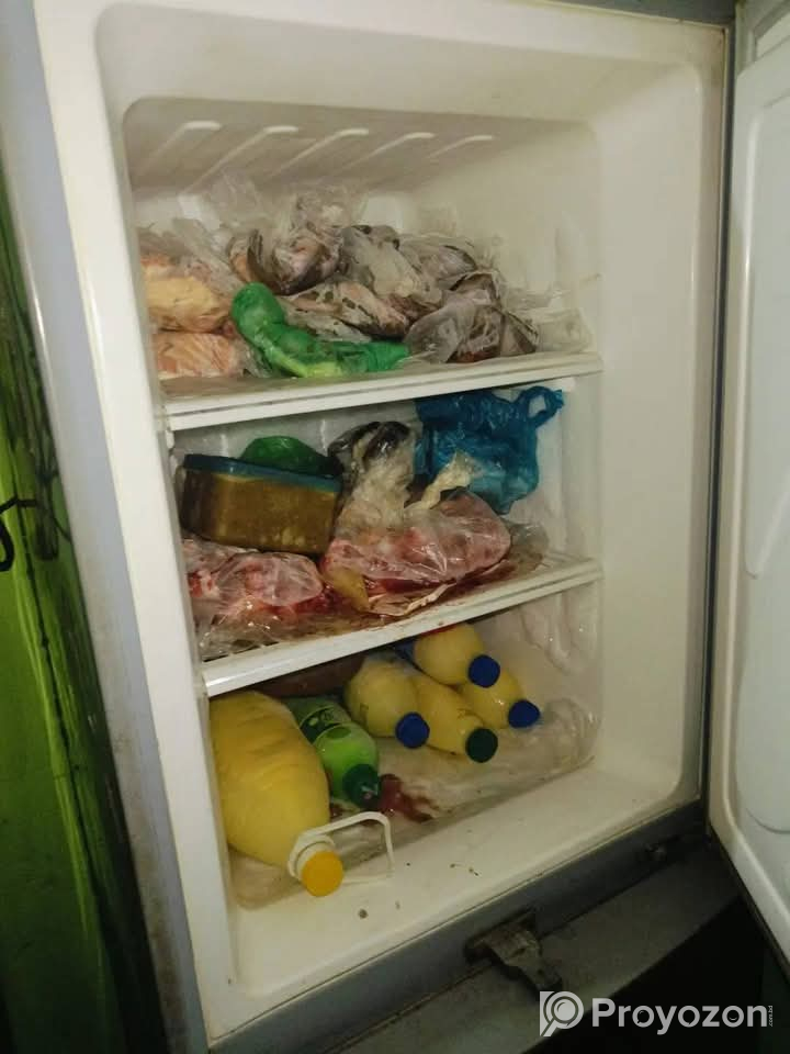 Walton 12 সেফটির ফ্রিজ