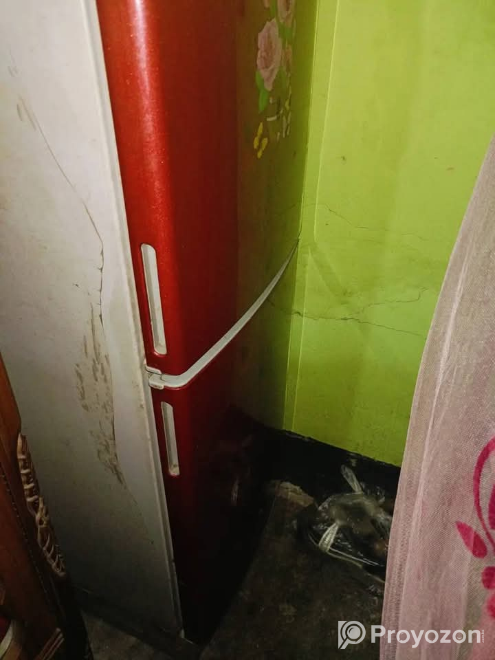 Walton 12 সেফটির ফ্রিজ