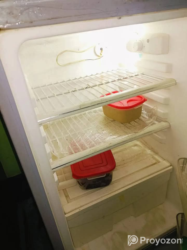 Walton 12 সেফটির ফ্রিজ