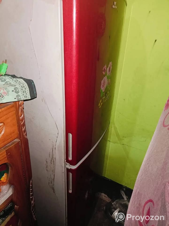 Walton 12 সেফটির ফ্রিজ