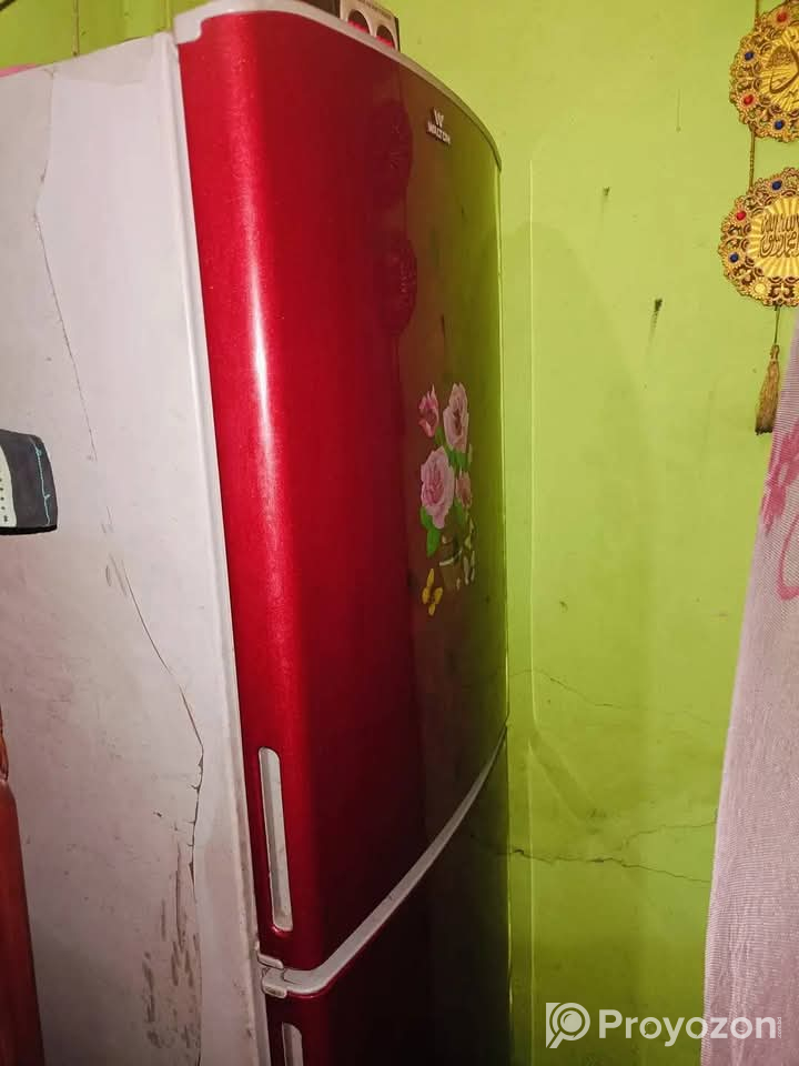 Walton 12 সেফটির ফ্রিজ