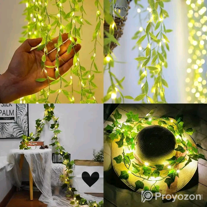 সুন্দর সুন্দর সব লাইটিং এবং ক্যান্ডেল সামগ্রী