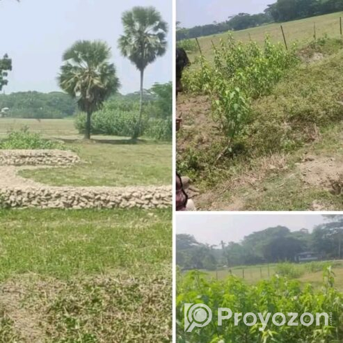 ১০.৮৫ শতাংশ জমি বিক্রি করা হবে