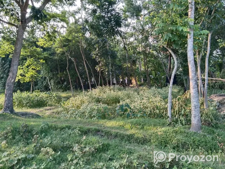 পাঁচ(৫)শতাংশ নির্ভেজাল জমি বিক্রি হবে