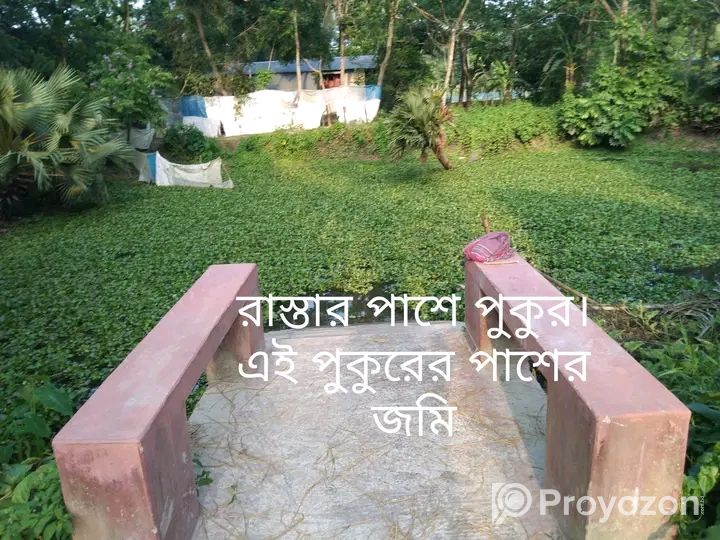 পাঁচ(৫)শতাংশ নির্ভেজাল জমি বিক্রি হবে