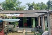 বাড়ীসহ জমি বিক্রয় হইবে
