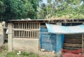 বাড়ীসহ জমি বিক্রয় হইবে