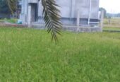 স্কয়ার খালি জমি অতীজরুরী বিক্রি করা হবে।