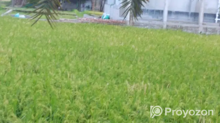 স্কয়ার খালি জমি অতীজরুরী বিক্রি করা হবে।