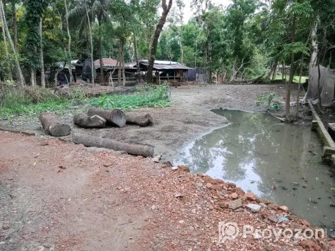 ৫ শতাংশ জমি বিক্রয় হবে