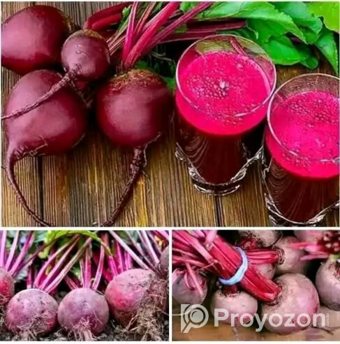 ২১ প্রকার হাইব্রিড উচ্চ ফলনশীল বীজ প্যাকেজ
