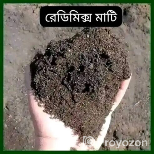 দেশি-বিদেশি ফলের চারা বিক্রি করা হয়-