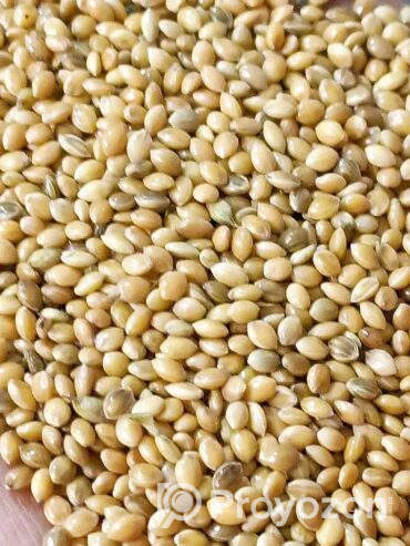 সেরার সেরা মানেই “BD Birds Food”বিক্রি হবে