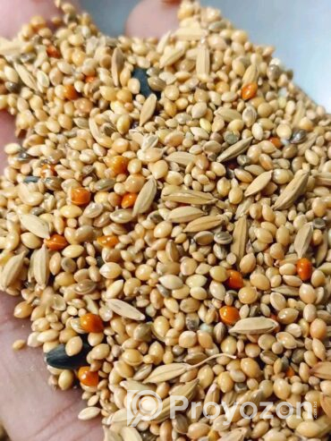 সেরার সেরা মানেই “BD Birds Food”বিক্রি হবে