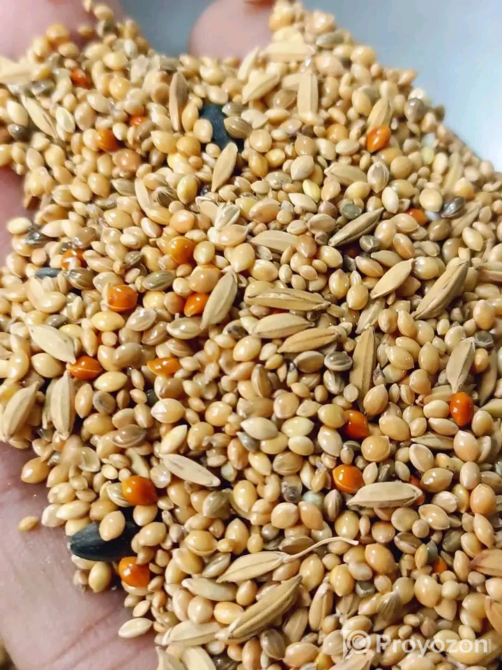সেরার সেরা মানেই “BD Birds Food”বিক্রি হবে