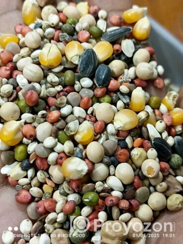 সেরার সেরা মানেই “BD Birds Food”বিক্রি হবে