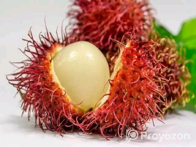 থাই লংগান ও রামবুটান কলম চারা বিক্রি হবে