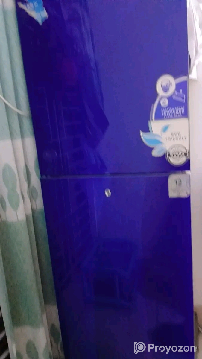 বিগ সাইজের ফ্রিজ সেল করতে চাই