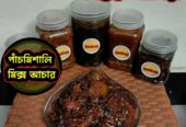 ১২ রকমের টক ঝাল মিষ্টি স্বাদের আচার