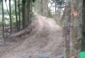 জমি বিক্রি হবে জমির পরিমাণ ৬ শতাংশ ৭৭ পয়েন্ট