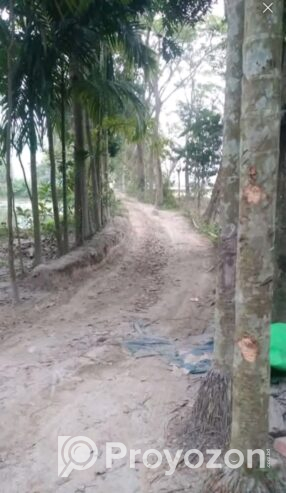 জমি বিক্রি হবে জমির পরিমাণ ৬ শতাংশ ৭৭ পয়েন্ট