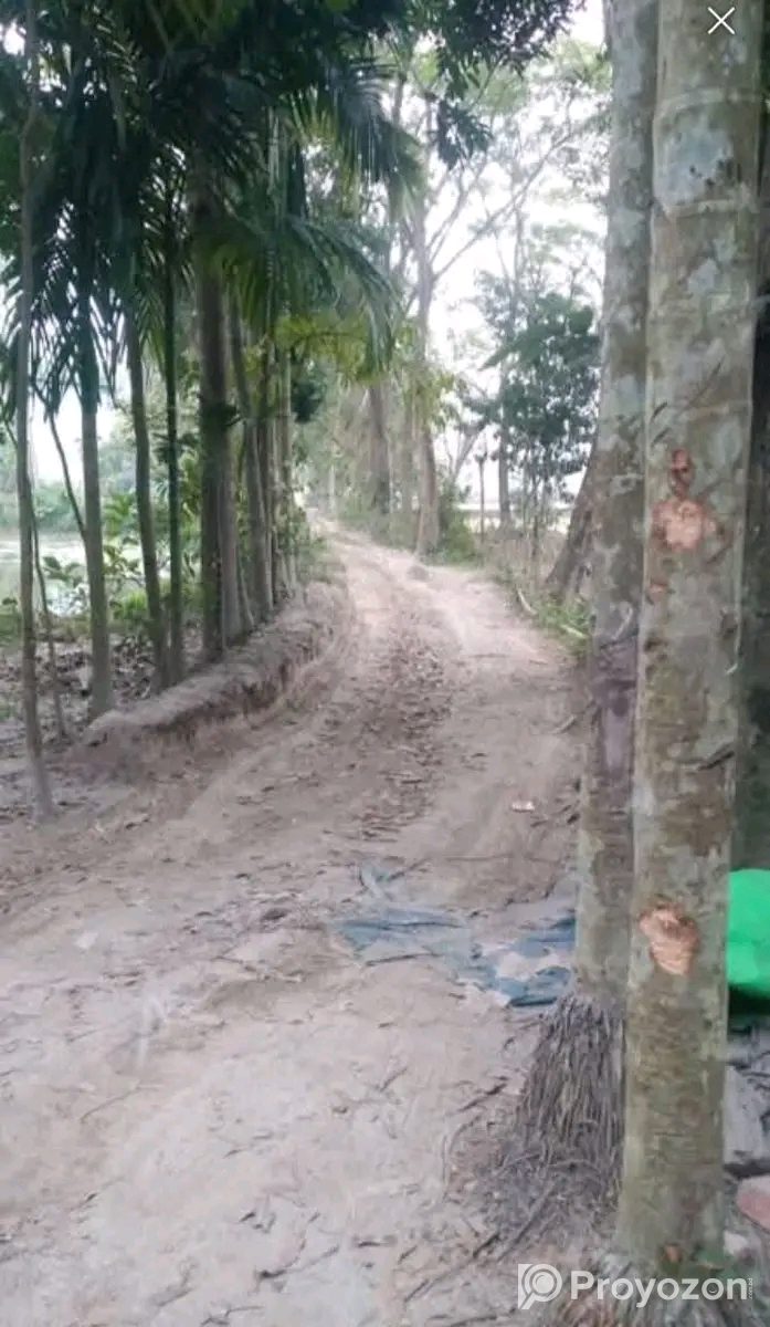 জমি বিক্রি হবে জমির পরিমাণ ৬ শতাংশ ৭৭ পয়েন্ট