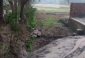 জমি বিক্রি হবে জমির পরিমাণ ৬ শতাংশ ৭৭ পয়েন্ট