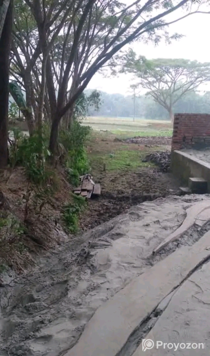 জমি বিক্রি হবে জমির পরিমাণ ৬ শতাংশ ৭৭ পয়েন্ট