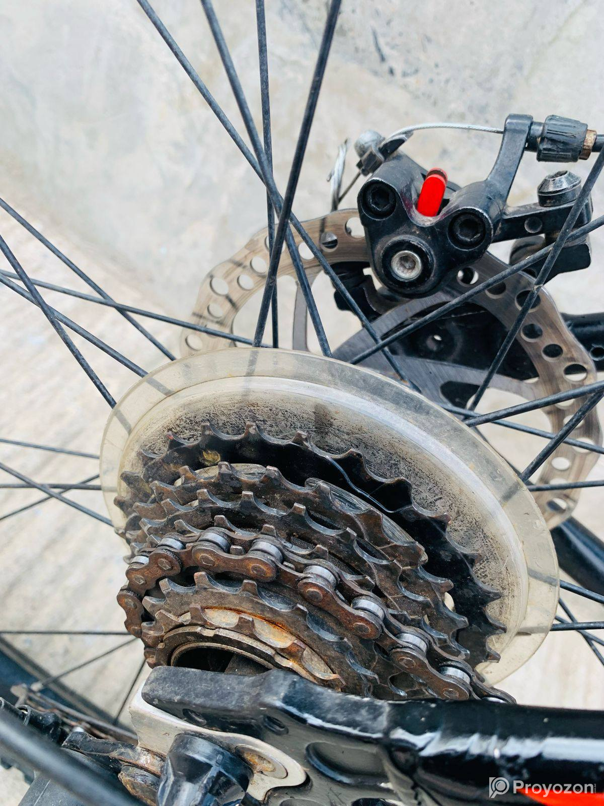 Code : V010 Veloce Slayer 1.0