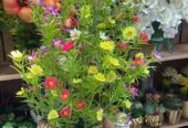 Artificial Flower . For sell