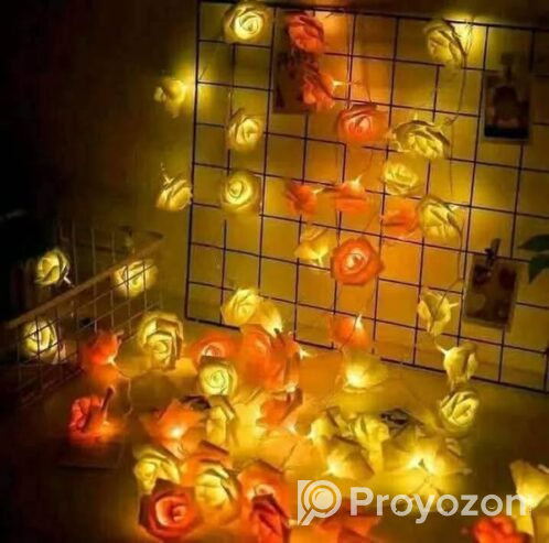 Rose Fairy Light .For sell