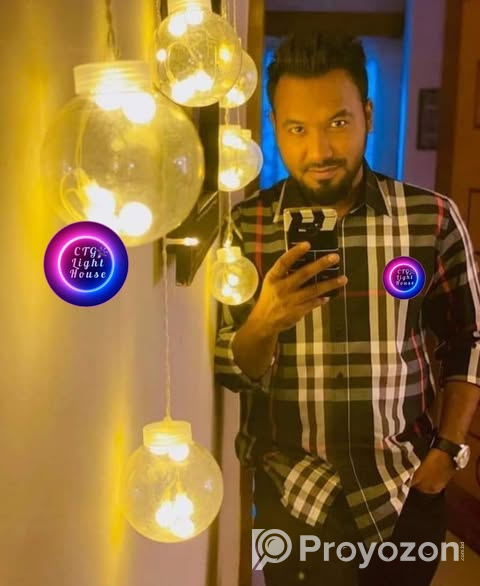 Wish Ball Leaf Curtain Light .For sell