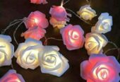 Rose Fairy Light .For sell
