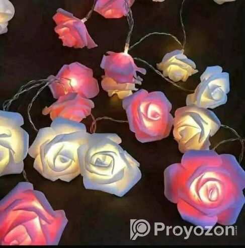 Rose Fairy Light .For sell