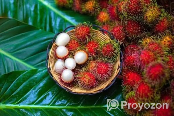 রামভুটান ফল প্রিমিয়াম কোয়ালিটি চারার বিক্রি করা হবে