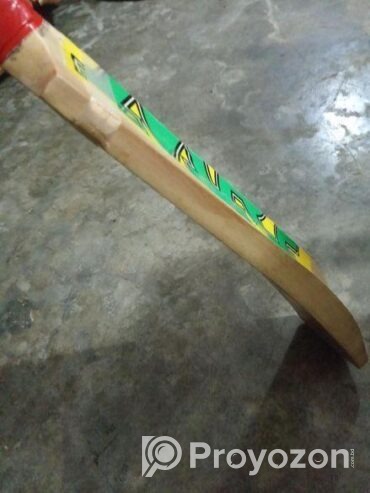 ক্রিকেট ব্যাট